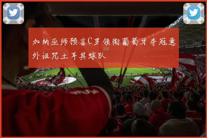 加纳巫师预言C罗领衔葡萄牙夺冠意外诅咒土耳其球队